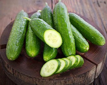 50 Cucumber Seeds | Non-GMO Heirloom Vegetable Seeds for Planting | High Germination, Fast Growing Garden Cucumbers | Home Garden