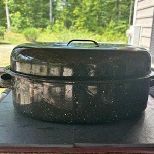 May include: A black speckled roasting pan with a lid and handles. The oval-shaped pan is sitting on a dark surface, with a green, out-of-focus background. The pan is designed for cooking poultry and other meats.
