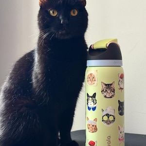 May include: A light yellow Owala water bottle featuring a pattern of various cat illustrations, including cats wearing hats, glasses, and spa masks. The bottle has a black lid with a lime green and pink flip-top cap and the brand name Owala printed on it.
