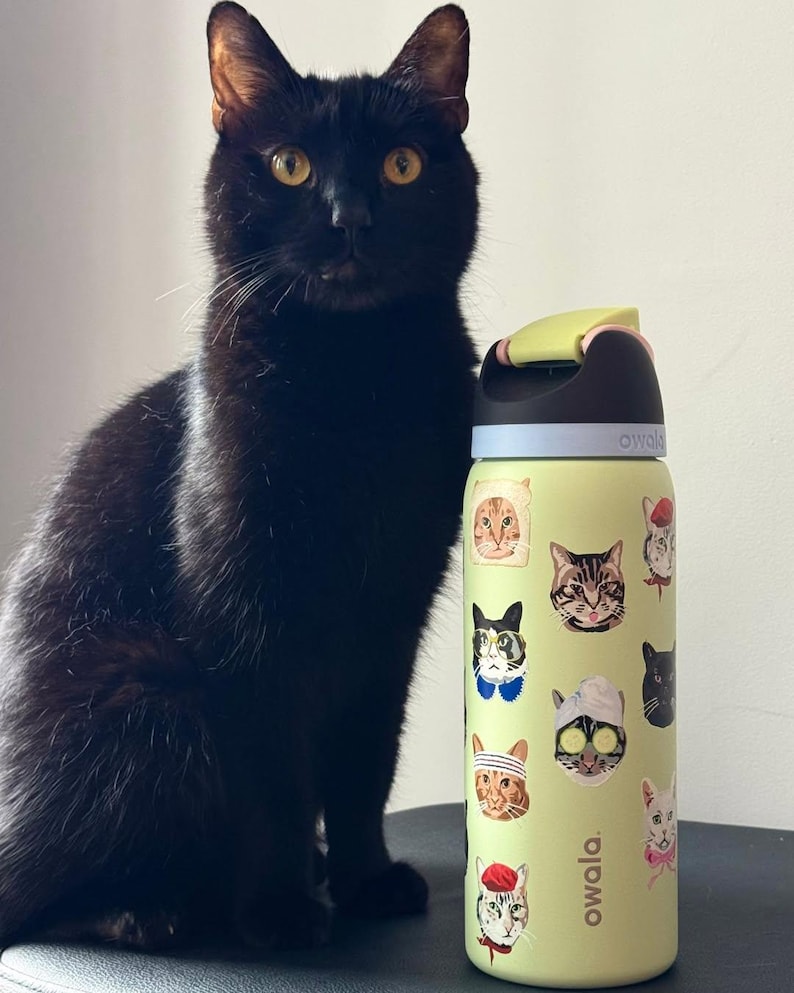 May include: A light yellow Owala water bottle featuring a pattern of various cat illustrations, including cats wearing hats, glasses, and spa masks. The bottle has a black lid with a lime green and pink flip-top cap and the brand name Owala printed on it.