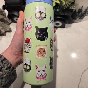 May include: A light green Owala water bottle featuring a variety of cat illustrations, including cats wearing spa headbands with cucumber slices on their eyes, a cat wearing a red beret, and a cat framed by a slice of bread, with a black lid.
