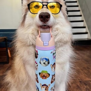 Pu&ograve; includere: Una borraccia azzurra con un motivo ripetuto di varie razze canine che indossano cappelli e accessori. La borraccia &egrave; dotata di un tappo viola chiaro con meccanismo a scatto e di una maniglia rosa chiaro, tenuta in bocca da un cane dal pelo folto.