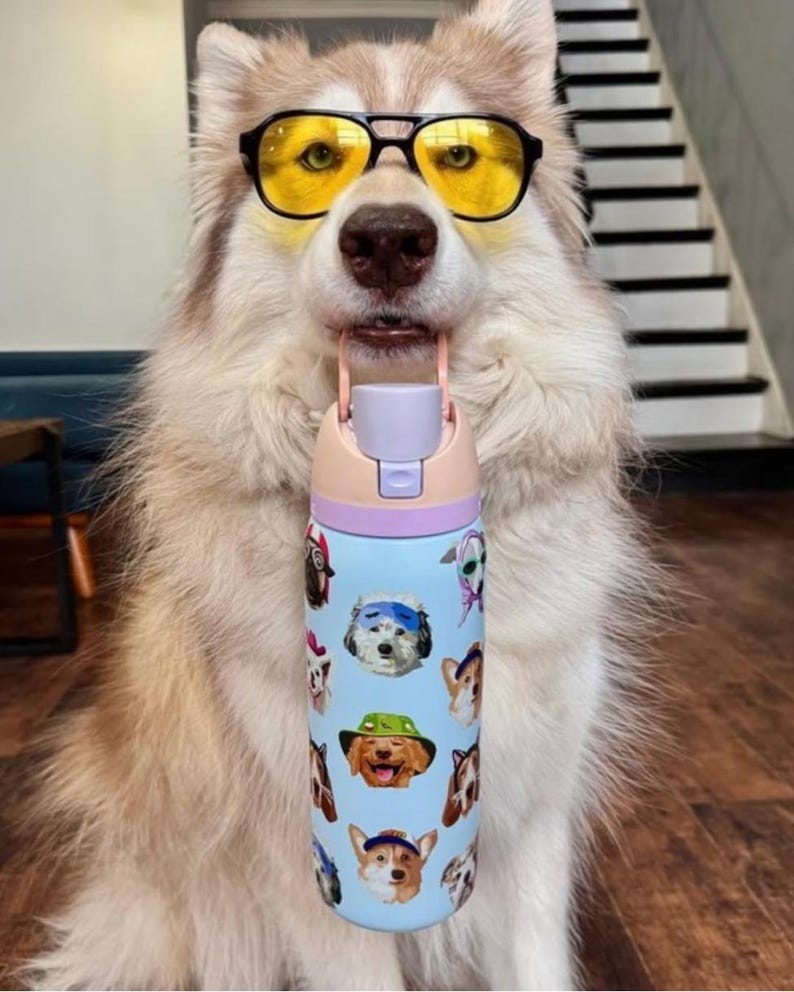 Pu&ograve; includere: Una borraccia azzurra con un motivo ripetuto di varie razze canine che indossano cappelli e accessori. La borraccia &egrave; dotata di un tappo viola chiaro con meccanismo a scatto e di una maniglia rosa chiaro, tenuta in bocca da un cane dal pelo folto.