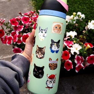 May include: A light green Owala water bottle featuring a variety of colorful cat illustrations, including cats wearing glasses, hats, and scarves. The bottle has a black, light blue, and lime green lid with a push-button mechanism for drinking.
