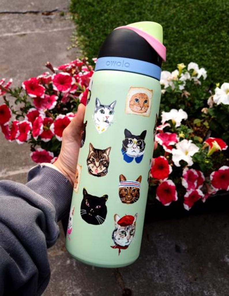 May include: A light green Owala water bottle featuring a variety of colorful cat illustrations, including cats wearing glasses, hats, and scarves. The bottle has a black, light blue, and lime green lid with a push-button mechanism for drinking.
