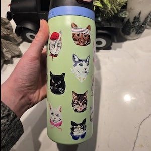 May include: A light green reusable water bottle featuring a pattern of various cat faces. The cats are depicted with accessories including a red beret, a striped headband, a pink bow, and glasses. The bottle has a black lid with a blue accent ring.