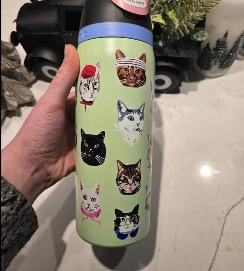 May include: A light green reusable water bottle featuring a pattern of various cat faces. The cats are depicted with accessories including a red beret, a striped headband, a pink bow, and glasses. The bottle has a black lid with a blue accent ring.