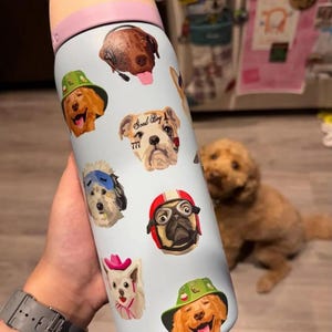 Pu&ograve; includere: Una borraccia azzurra con tappo color pesca decorata con varie illustrazioni di cani, tra cui un cane con un cappello da pescatore verde, un cane con cuffie, un bulldog con la scritta Good Boy 777, un cane con mascherina e un carlino con casco.