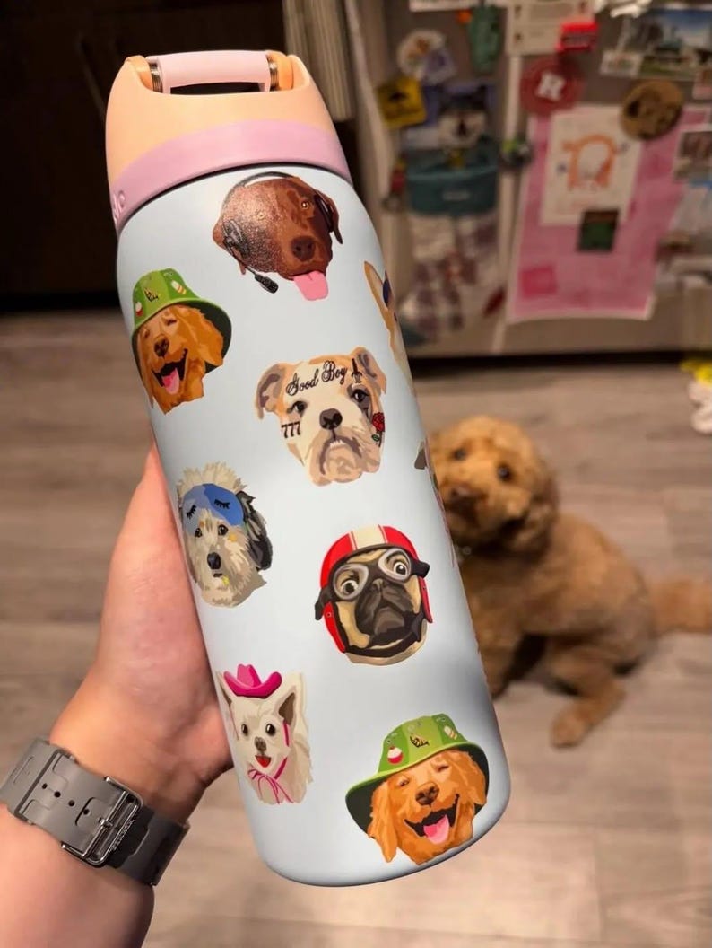 Pu&ograve; includere: Una borraccia azzurra con tappo color pesca decorata con varie illustrazioni di cani, tra cui un cane con un cappello da pescatore verde, un cane con cuffie, un bulldog con la scritta Good Boy 777, un cane con mascherina e un carlino con casco.
