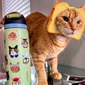 May include: A light green Owala water bottle featuring various cat illustrations, including cats wearing glasses, a beret, and a spa mask, positioned next to an orange tabby cat with a slice of bread around its face, mimicking a bread-cat costume.