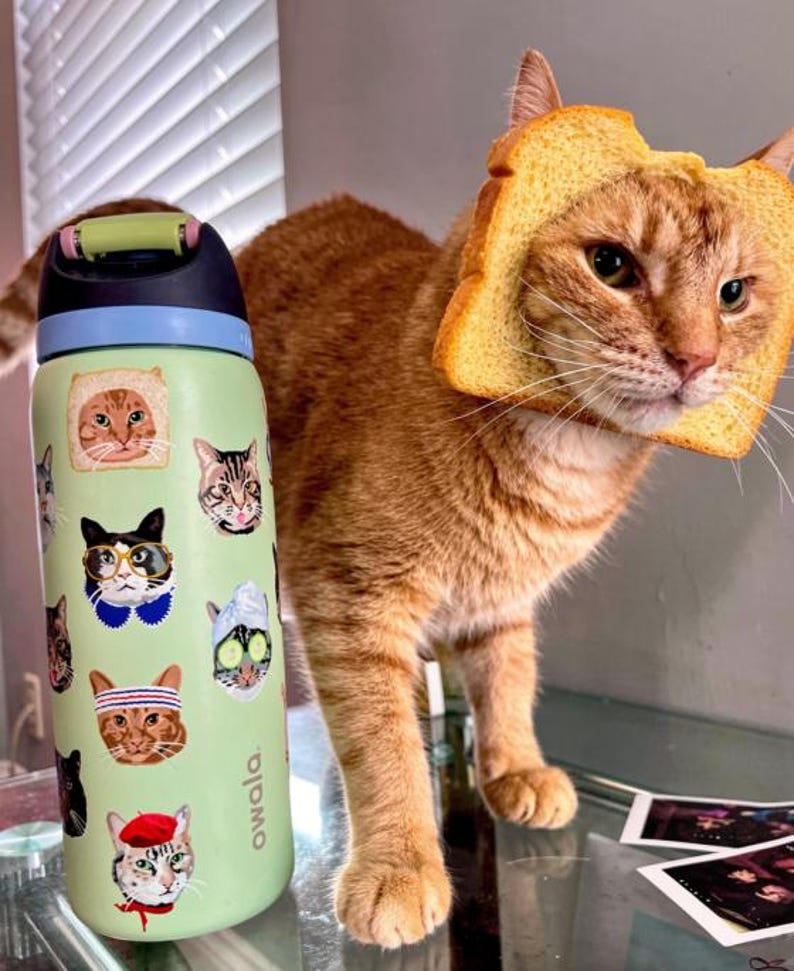 May include: A light green Owala water bottle featuring various cat illustrations, including cats wearing glasses, a beret, and a spa mask, positioned next to an orange tabby cat with a slice of bread around its face, mimicking a bread-cat costume.