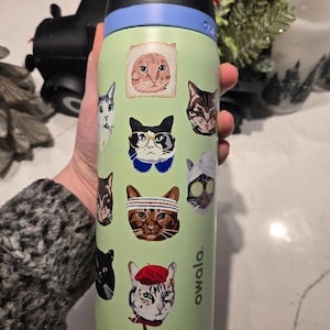 May include: A light green Owala water bottle featuring a variety of cat stickers, including a cat in a bread slice, a cat wearing glasses, a cat with a headband, and a cat wearing a red beret. The bottle has a black lid with a blue accent.