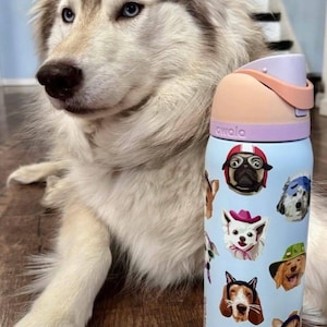 Pu&ograve; includere: Una borraccia Owala azzurra con un motivo di varie razze canine che indossano cappelli e accessori. La bottiglia ha un tappo color lavanda e pesca con un meccanismo a pulsante. Il design include illustrazioni di carlini, retriever e altri cani.