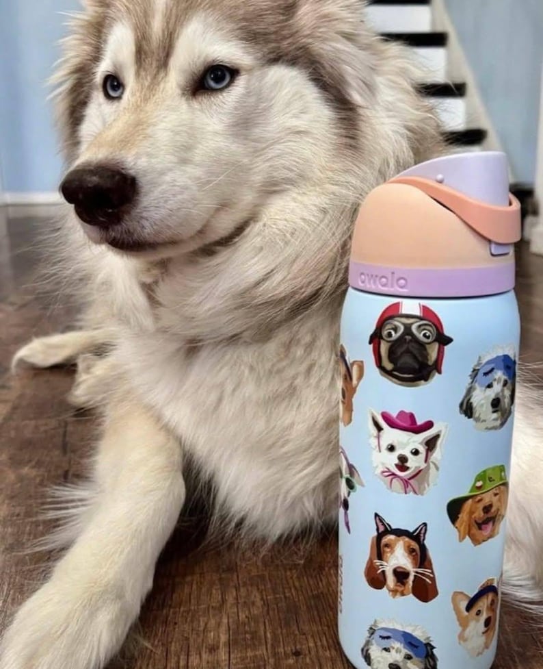 Pu&ograve; includere: Una borraccia Owala azzurra con un motivo di varie razze canine che indossano cappelli e accessori. La bottiglia ha un tappo color lavanda e pesca con un meccanismo a pulsante. Il design include illustrazioni di carlini, retriever e altri cani.