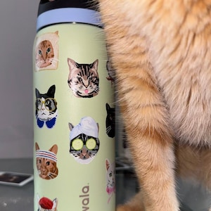 May include: A light green Owala water bottle featuring various cat illustrations, including a cat in a bread slice, a cat with glasses, a cat with a towel and cucumber slices on its eyes, and a cat wearing a red beret, with a black and blue lid.