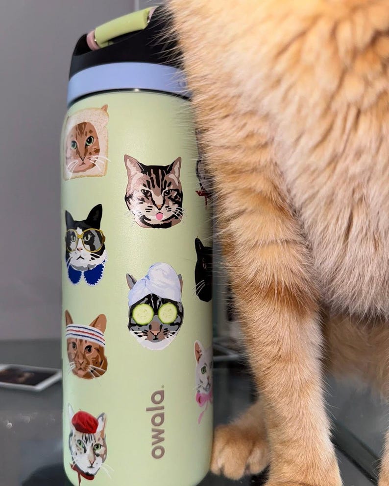 May include: A light green Owala water bottle featuring various cat illustrations, including a cat in a bread slice, a cat with glasses, a cat with a towel and cucumber slices on its eyes, and a cat wearing a red beret, with a black and blue lid.