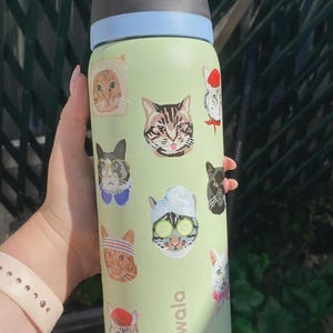 May include: A light green Owala water bottle featuring various cat illustrations, including a cat in a bread slice, a cat with a towel and cucumber slices on its eyes, and cats wearing hats. The bottle has a black and light blue lid with a yellow latch.