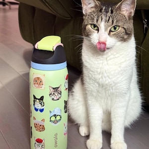 May include: A light green Owala water bottle featuring various cat illustrations, including cats wearing glasses, headbands, and hats. The bottle has a black and light green lid with a push-button mechanism and the brand name Owala printed in black.