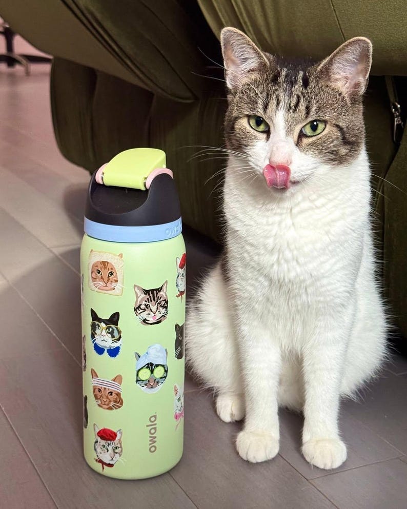 May include: A light green Owala water bottle featuring various cat illustrations, including cats wearing glasses, headbands, and hats. The bottle has a black and light green lid with a push-button mechanism and the brand name Owala printed in black.