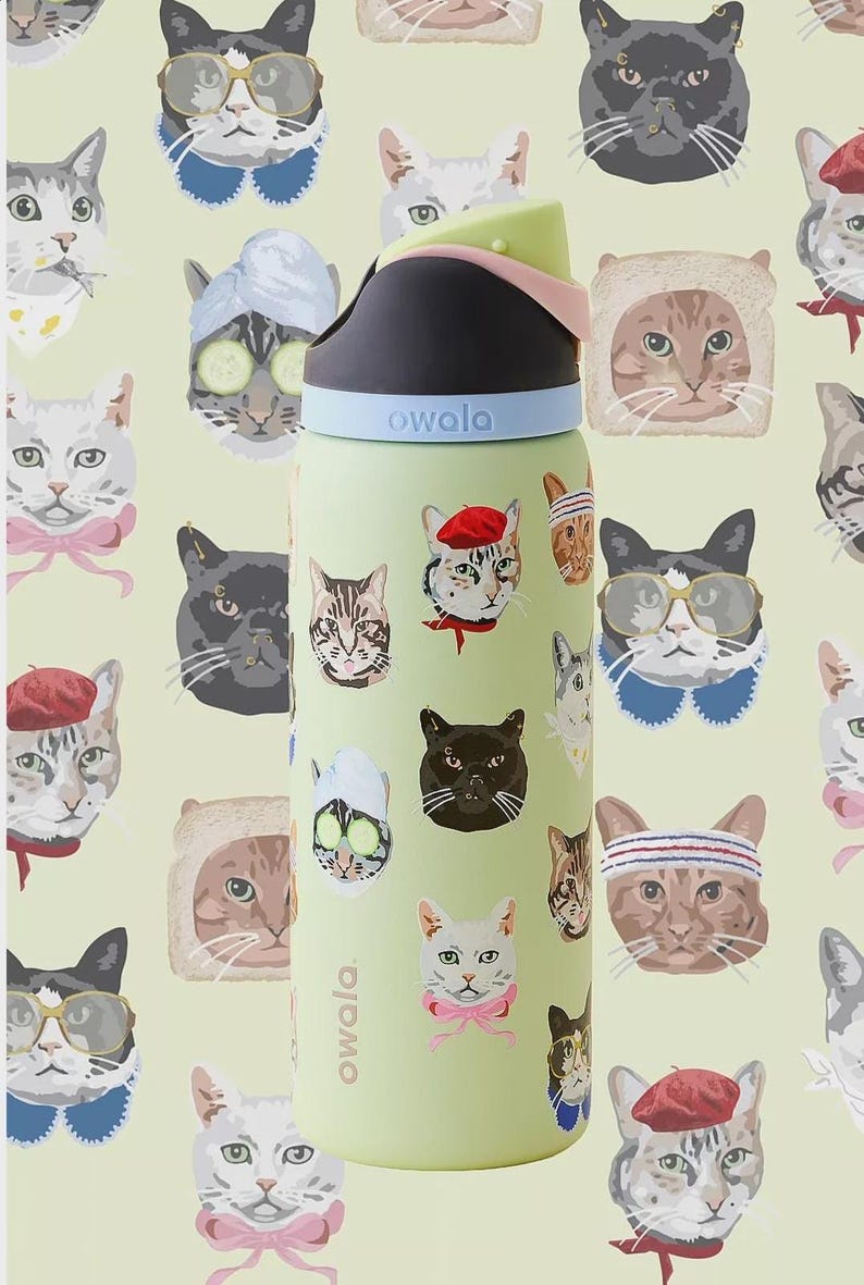 May include: A light green Owala water bottle featuring a repeating pattern of various cats in different accessories, including berets, glasses, and spa headbands. The bottle has a black, light blue, and pale pink lid with the Owala logo printed.