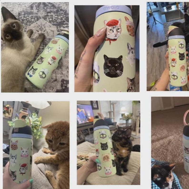 May include: A light green Owala water bottle featuring a repeating pattern of various cat faces, including cats wearing accessories like a red beret. The bottle has a dark gray and light purple lid with a built-in carry loop and a push-button mechanism.