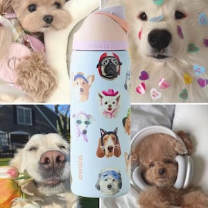 Pu&ograve; includere: Una borraccia Owala azzurra con varie illustrazioni di cani, tra cui un carlino con casco rosso, un cane con cappello da cowboy rosa e un cane con mascherina per dormire blu. La bottiglia ha un tappo rosa pallido e lavanda con beccuccio.