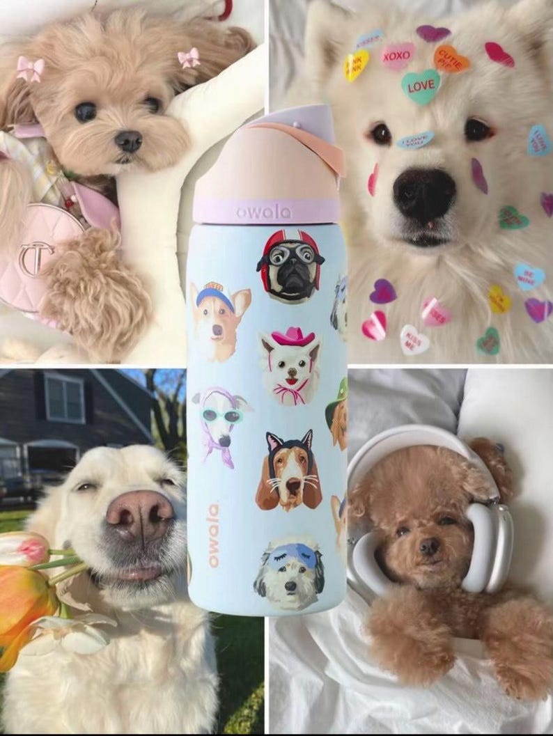 Pu&ograve; includere: Una borraccia Owala azzurra con varie illustrazioni di cani, tra cui un carlino con casco rosso, un cane con cappello da cowboy rosa e un cane con mascherina per dormire blu. La bottiglia ha un tappo rosa pallido e lavanda con beccuccio.