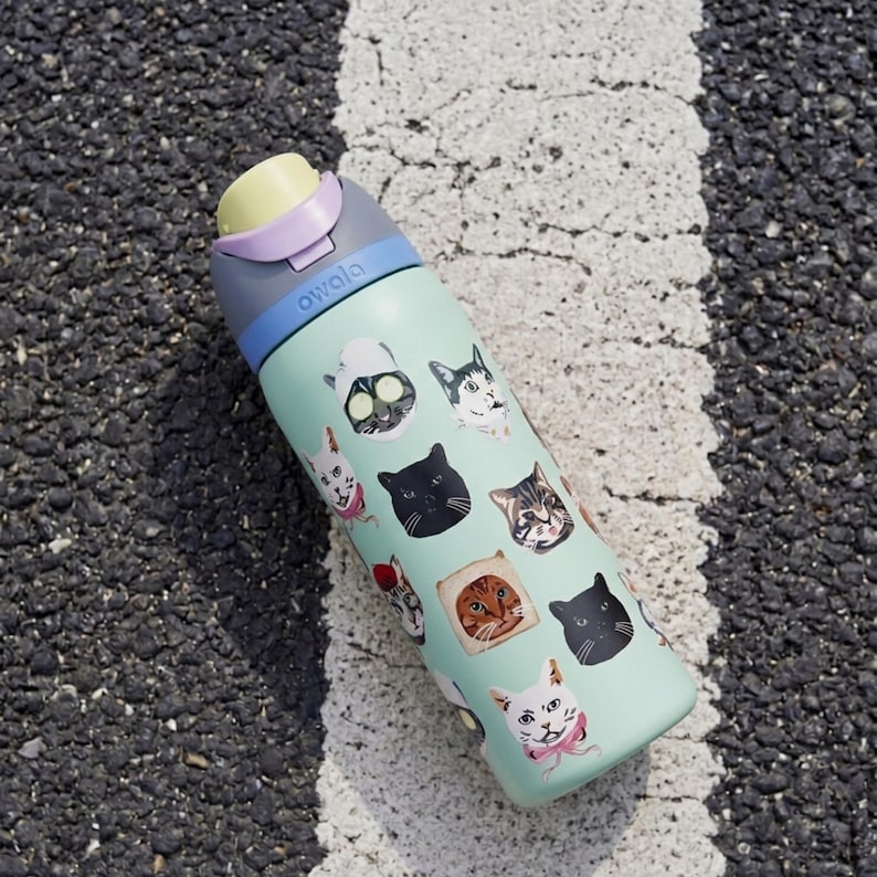 May include: A light green Owala water bottle featuring a pattern of various cat illustrations, including cats wearing accessories and one inside a slice of bread. The bottle has a multi-colored lid with a pale yellow, lavender, and blue design.