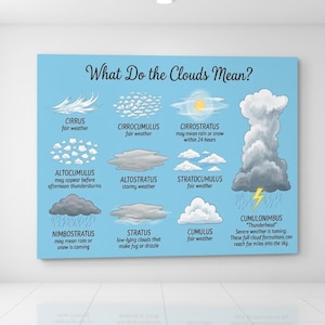 Könnte beinhalten: Ein hellblaues Lehrplakat mit dem Titel What Do the Clouds Mean? mit Illustrationen verschiedener Wolkentypen, darunter Cirrus, Cirrocumulus, Cirrostratus, Altocumulus, Altostratus, Stratocumulus, Nimbostratus, Stratus, Cumulus und ein großer Cumulonimbus.