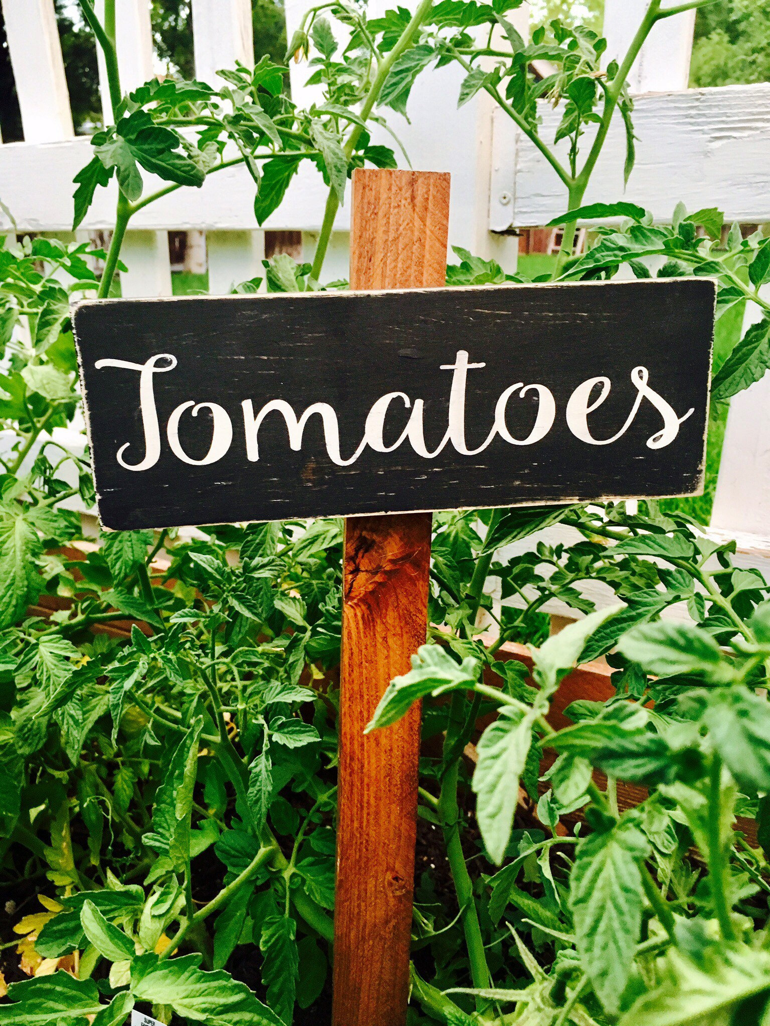 Garden Sign Yard Stakes Garden Decor Plant Yard Stakes Wooden Etsy