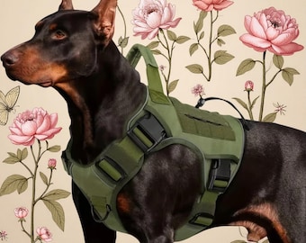 Taktisk sele med handtag för hundar, dragfri servicehundväst, justerbar hundväst, för hundpromenader, vandringsträning, presenter till husdjursälskare