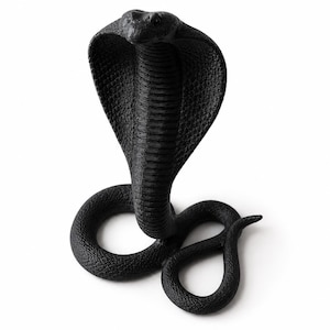 May include: A matte black cobra figurine in an upright striking pose with its hood flared. The surface of the snake features a detailed, textured scale pattern across its entire body, including the coiled tail base and the underside of the hood.