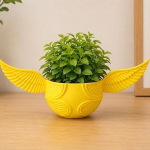 May include: A bright yellow, spherical planter featuring two outstretched, feathered wings on either side. The exterior of the bowl-shaped container has a raised, curved pattern. A small, vibrant green leafy plant is potted inside the vessel.