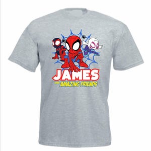 May include: A heather grey short-sleeve t-shirt featuring a graphic of three cartoon superheroes in front of a blue spiderweb. Below the characters, the text reads JAMES AND AMAZING FRIENDS in bold red, white, and yellow lettering.