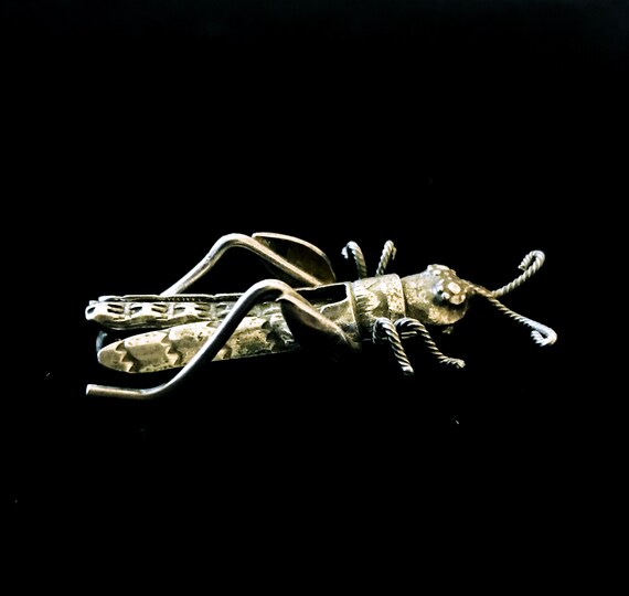 Vintage Navajo Silver Grasshopper Pin Etsy