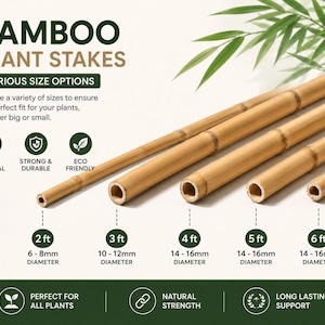 Natural Bamboo Plant Stakes, Strong Garden Support Poles, Indoor Outdoor Trellis Sticks
