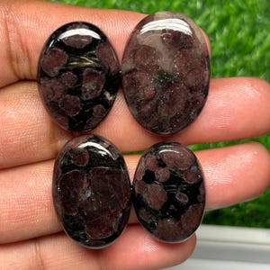 Puede incluir: Cuatro cabujones de forma ovalada con una superficie pulida que presenta inclusiones redondeadas de color granate oscuro incrustadas en una matriz negra. Estas gemas lisas y brillantes muestran un patrón moteado distintivo.