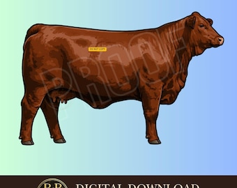 Imágenes prediseñadas de Santa Gertrudis PNG / Gráfico de ganado / Descarga digital instantánea para camisetas y vasos 4h ffa stock show, ganado PNG