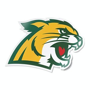 Northern Michigan Wildcats Mascot Car Decal