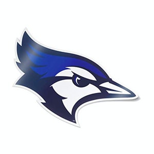 May include: A blue and white stylized illustration of a blue jay's head with a fierce expression.