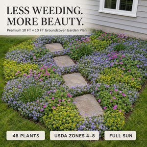 Puede incluir: Un plan de jardín con el texto LESS WEEDING. MORE BEAUTY. Premium 3,05 m x 3,05 m Groundcover Garden Plan. La imagen muestra un parterre con flores moradas, rosas y amarillas, cuatro losas de piedra rectangulares, 48 plantas, zonas USDA 4-8, pleno sol.