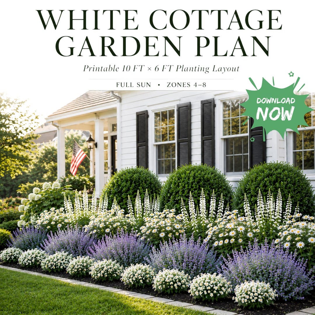 White Cottage Garden Plan PDF, Full Sun Flower Bed Layout, Front Yard ...