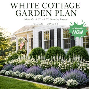 以下が含まれることがあります： WHITE COTTAGE GARDEN PLANというタイトルのデジタルグラフィックで、Printable 10 FT x 6 FT Planting LayoutおよびFULL SUN ZONES 4-8というテキストが含まれています。画像には、黒い鎧戸のある白い家と、白と紫の花が咲く庭が写っています。