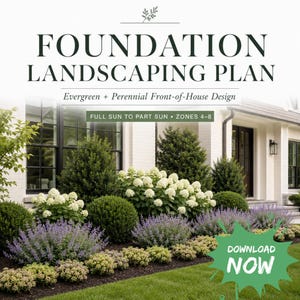 May include: A foundation landscaping plan featuring white hydrangea bushes, rounded green shrubs, and purple flowering plants in front of a white house. Text reads: FOUNDATION LANDSCAPING PLAN, Evergreen + Perennial Front-of-House Design, FULL SUN TO PART SUN, ZONES 4-8, DOWNLOAD NOW.