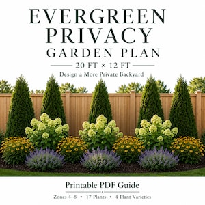 May include: A printable PDF garden plan titled EVERGREEN PRIVACY GARDEN PLAN 20 FT x 12 FT Design a More Private Backyard. The image shows a landscape design with tall evergreen trees, yellow flowering shrubs, and purple flowers against a fence.