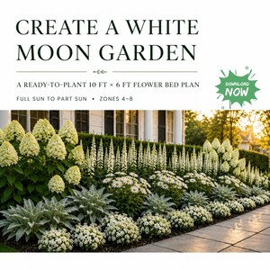 White Moon Garden Plan PDF, 10x6 White Flower Bed Layout, Front Yard Walkway Border, Full Sun to Part Sun, Zones 4-8