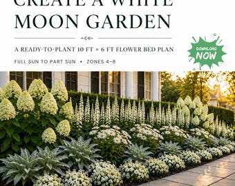 White Moon Gartenplan, PDF, 10x6, weißes Blumenbeet Layout, Vorgarten Gehweg Grenze, volle Sonne bis Teil Sonne, Bereiche 4-8