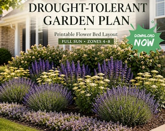 Progetto di giardino resistente alla siccità in PDF, disposizione di aiuole a basso consumo idrico, design di giardino in stile cottage/prateria in pieno sole, piano di piantumazione per le zone 4-8