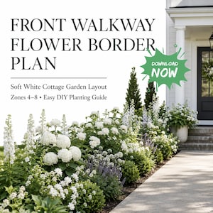 May include: A digital document titled FRONT WALKWAY FLOWER BORDER PLAN featuring a Soft White Cottage Garden Layout for Zones 4-8. The graphic includes a green starburst icon with the text DOWNLOAD NOW and an image of a white flower garden.