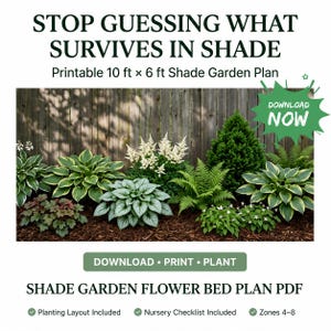 May include: A printable 10 ft x 6 ft shade garden plan featuring text that reads STOP GUESSING WHAT SURVIVES IN SHADE, DOWNLOAD NOW, DOWNLOAD PRINT PLANT, and SHADE GARDEN FLOWER BED PLAN PDF, with images of hostas, ferns, and white astilbe plants.